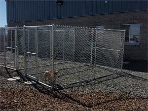 Kennels